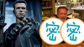 阿諾史瓦辛格／微博