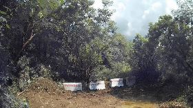 沙灘車活動破壞生態　墾管處取締（3）