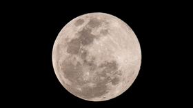 元宵節,賞月,超級月亮　圖／記者林士傑攝影