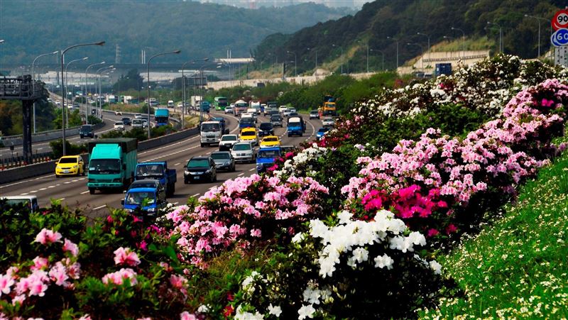 「花」現國道　上高速公路開車賞美景