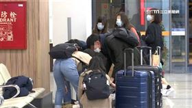 口罩,機場,行李,防疫。（示意圖／資料照）