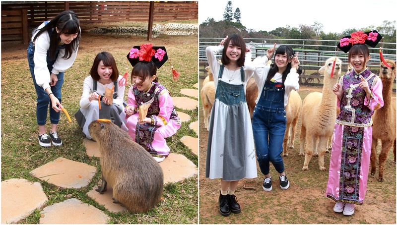 人氣女團可愛放送！闖關唱歌又撩人