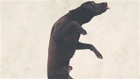 Something Studio 三牲工作室提供