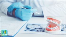 名家專用／NOW健康／孩童若齒列不正，容易造成咬合問題，不易磨碎食物影響咀嚼功能，不利生長發育。(勿用)