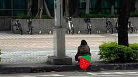 大媽當眾脫褲爽「烙賽」　網吐了：嘔（圖／翻攝自爆廢公社）