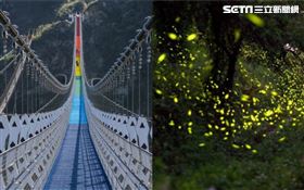南投推國旅行程！30樓高「七彩吊橋」　搭超浪漫螢火蟲季（圖／資料照）