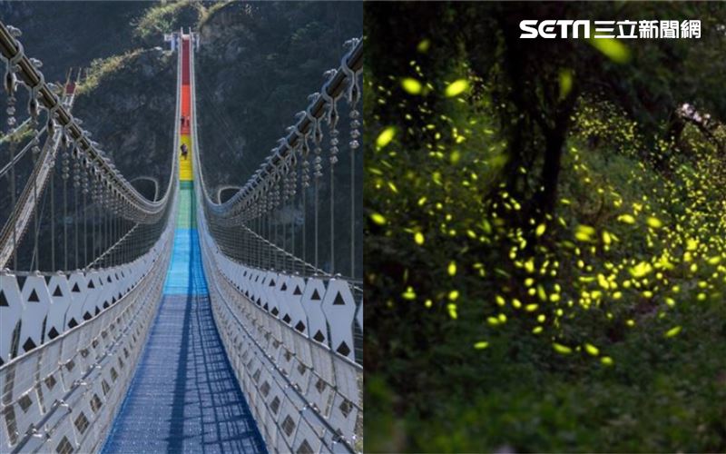 七彩吊橋＋螢火蟲季　南投推國旅行程