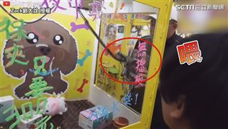 魔術師夾娃娃　機爪竟穿越玻璃夾回來