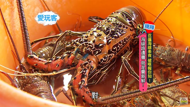 花東鮮味滿滿　高檔路邊攤任你點！