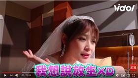 李燕。（翻攝自vidol）