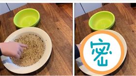 洗手有多重要！芬蘭爸「胡椒水超狂實驗」　肥皂秒退病毒（圖／翻攝自Valokuvaaja Ari Mäkiö
臉書）