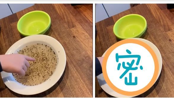 芬蘭爸超狂實驗　肥皂水一秒退散病毒