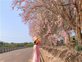 名家專用／台灣旅行趣（勿用）