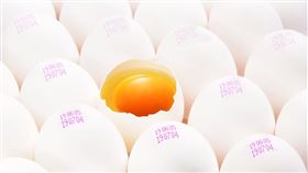 （圖／廠商提供）