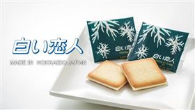 日本北海道知名伴手禮「白色戀人」。（圖／翻攝自石屋製菓株式会社fb）