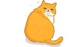 名家專用／毛起來MAOUP（勿用）