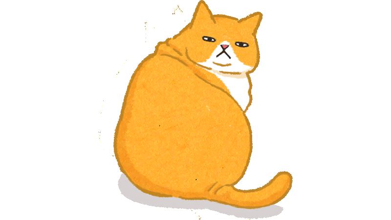 肥肉露「線」了？快檢查這兩個地方！