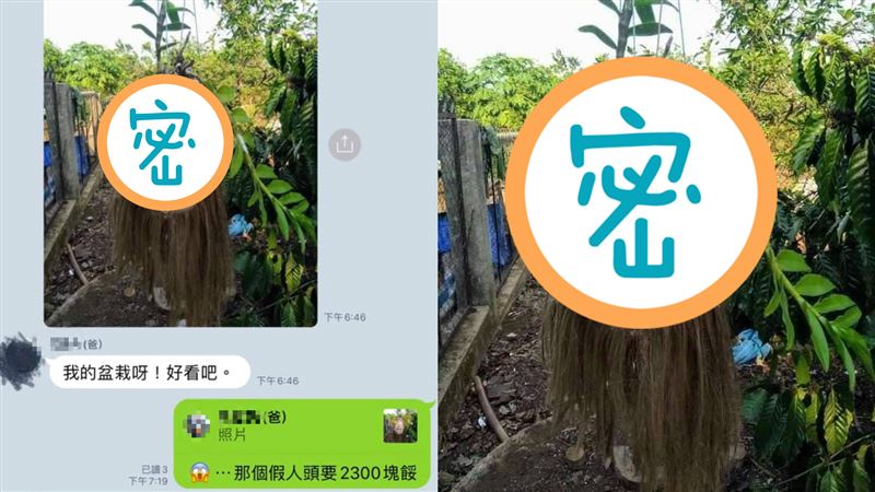 老爸嗨炫新盆栽　女兒：我的假人頭…