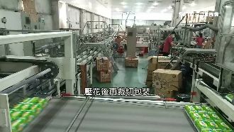 獨／ 別再搶了！直擊衛生紙工廠產線