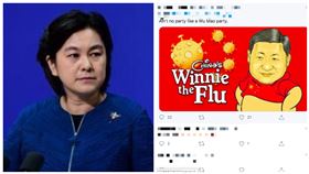 華春瑩發文嗆美國「沒隱瞞武漢肺炎疫情」　被刷一排習維尼。（圖／翻攝自中國外交部官網、推特）