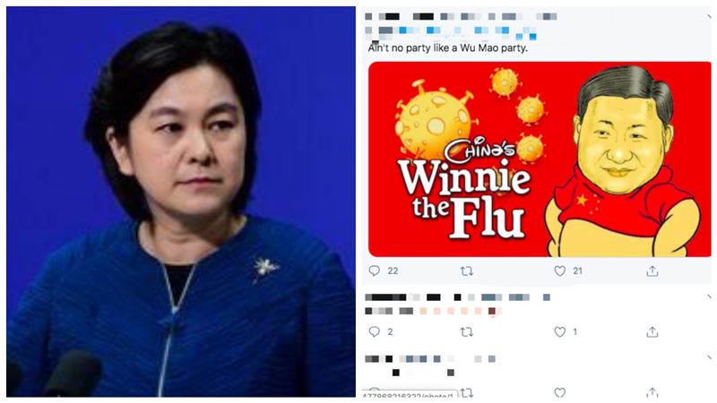 華春瑩發文嗆美國　被刷一排習維尼