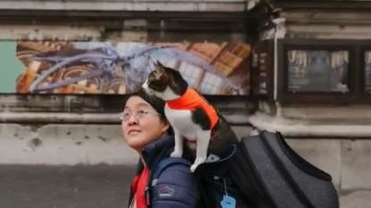 英劍橋封校…導師一句話暖哭留學生