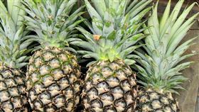 鳳梨 圖／Pixabay