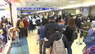 獨/停進印尼移工卻頻確診?關鍵在這