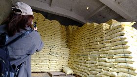 農委會：公糧儲備充足