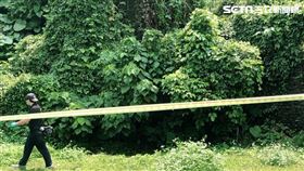 台北市呂姓老翁陳屍舊兒童樂園後方草叢。（圖／讀者提供）