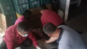 屏東縣,佳冬鄉,溺水,兄弟,命危,送醫