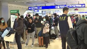 留學生湧返0800(DL)