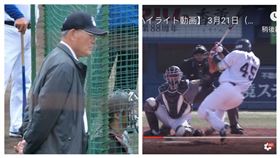 ▲知名球評張本勳、養樂多燕子捕手嶋基宏被觸身球擊中右手（圖／翻攝自推特、東京ヤクルトスワローズYouTube頻道）

