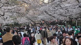 冬天去日本玩怎麼穿？過來人：別穿發熱衣