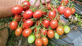 圖／翻攝自爆怨公社臉書