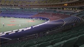 ▲日本職棒無觀眾熱身賽。（圖／美聯社／達志影像）