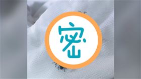 荔枝椿象,椿象,洗衣袋（圖／翻攝自爆廢公社）