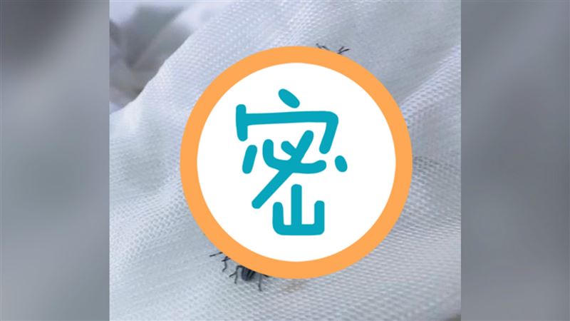 洗衣袋見10黑蟲孵化　他崩潰飆髒話