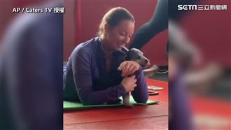 毛茸茸瑜珈教練　帶你做標準下犬式