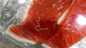 海獸胃線蟲。（圖／翻攝自維基百科）