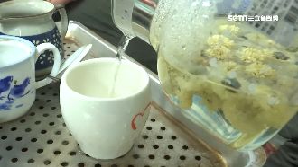 防疫內服吃什麼？菊花茶助增免疫力