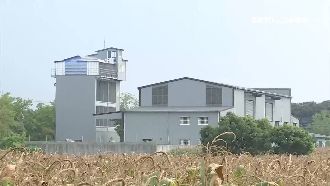 機場旁養鴿！放飛遭控恐「鳥擊」戰機