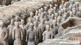 秦陵(讀者提供)