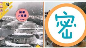 獨／苗栗小棉堡人潮擠爆變菜市場　網笑：怎麼拍都是合照（圖／民眾提供）