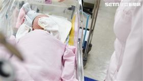 出生率,嬰兒。（圖／記者陳韋帆攝影）