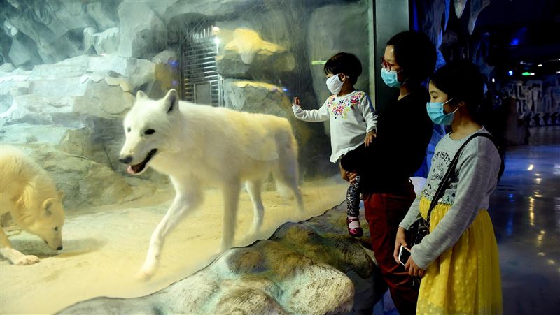 促消費下猛藥　浙江一週工作4.5天