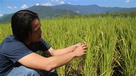 池上青農魏瑞廷將區塊鏈導入稻米產業台東池上鄉青農魏瑞廷（圖）表示，他所栽種生產的米能讓國際買家肯定，在於區塊鏈食品溯源履歷的不可竄改、忠實呈現等特性，因此很快就能取得消費者的信賴。中央社記者李先鳳攝　109年3月25日