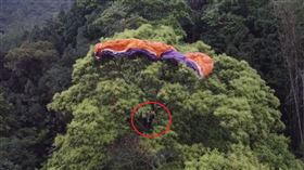 男玩飛行傘糗變《台版愛的迫降》　眾《玄彬》出動救援（圖／翻攝畫面）