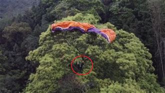 台版愛的迫降　飛行傘男糗掛樹頭待救
