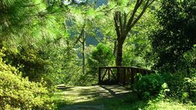 兒童節連假  13處國家森林遊樂區免費入園林務局表示，4月4日兒童節併同清明連假，適合闔家走走；12歲以下兒童可免費進入林務局轄管太平山、內洞等13處國家森林遊樂區，以及搭乘烏來台車與太平山蹦蹦車。（林務局提供）中央社記者楊淑閔傳真  109年3月26日